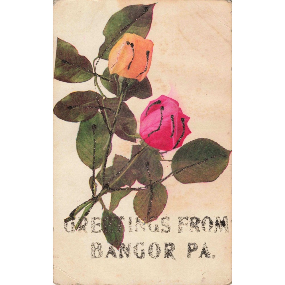 Bangor Pennsylvania PA Greetings From Roses Flower Glitter Vtg Postcard c1910
